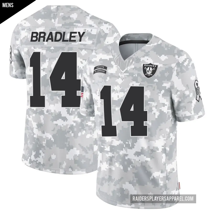 Men's Las Vegas Raiders ＃14 Carter Bradley Arctic Camo Limited 2024 Salute to Service Jersey