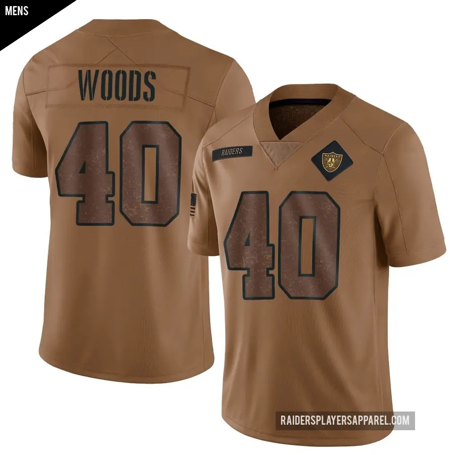 Men's Las Vegas Raiders ＃40 JT Woods Brown Limited 2023 Salute To Service Jersey