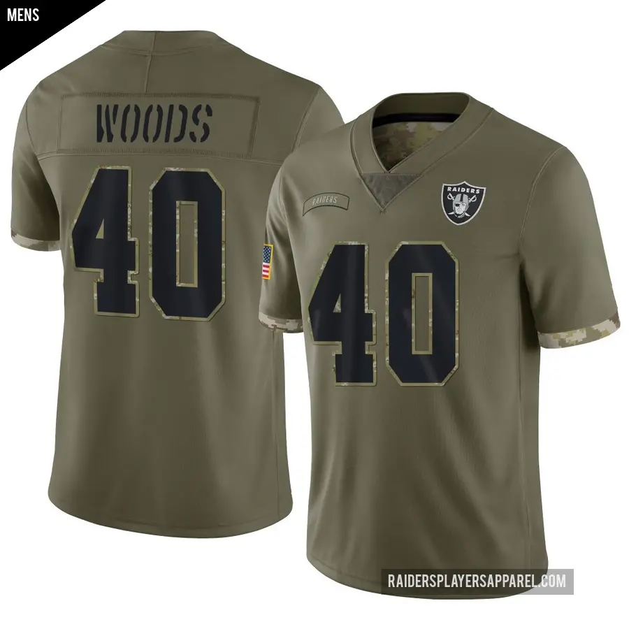 Men's Las Vegas Raiders ＃40 JT Woods Olive Limited 2022 Salute To Service Jersey