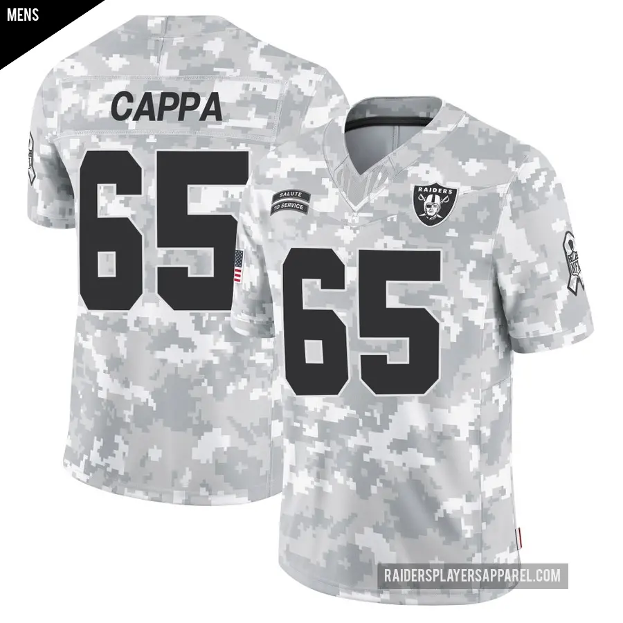 Men's Las Vegas Raiders ＃65 Alex Cappa Arctic Camo Limited 2024 Salute to Service Jersey