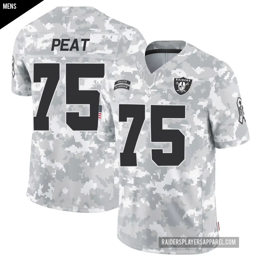 Men's Las Vegas Raiders ＃75 Andrus Peat Arctic Camo Limited 2024 Salute to Service Jersey