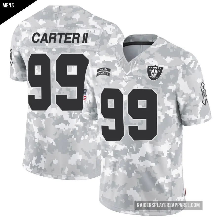 Men's Las Vegas Raiders ＃99 Andre Carter II Arctic Camo Limited 2024 Salute to Service Jersey