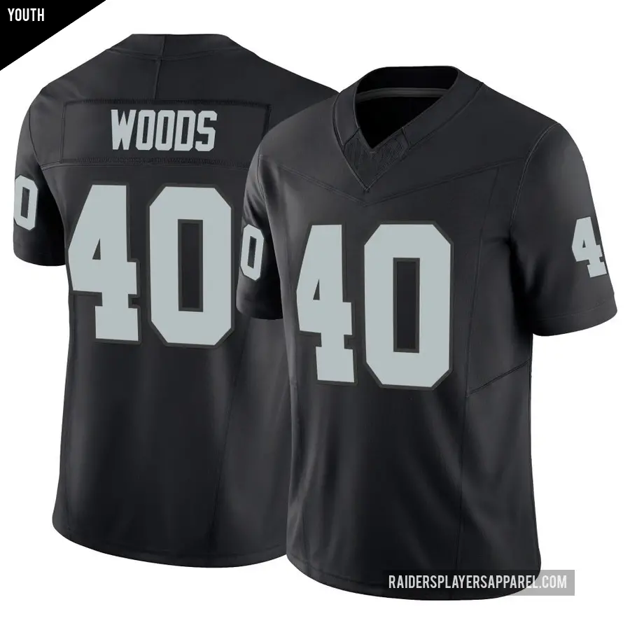 Youth Las Vegas Raiders ＃40 JT Woods Black Limited Vapor F.U.S.E. Jersey