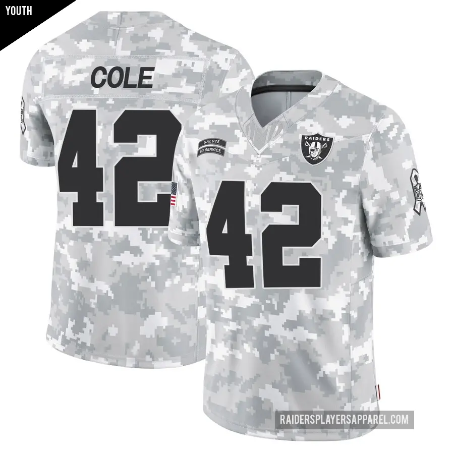 Youth Las Vegas Raiders ＃42 Qwynnterrio Cole Arctic Camo Limited 2024 Salute to Service Jersey