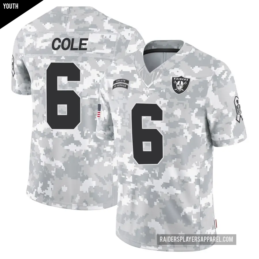 Youth Las Vegas Raiders ＃6 AJ Cole Arctic Camo Limited 2024 Salute to Service Jersey