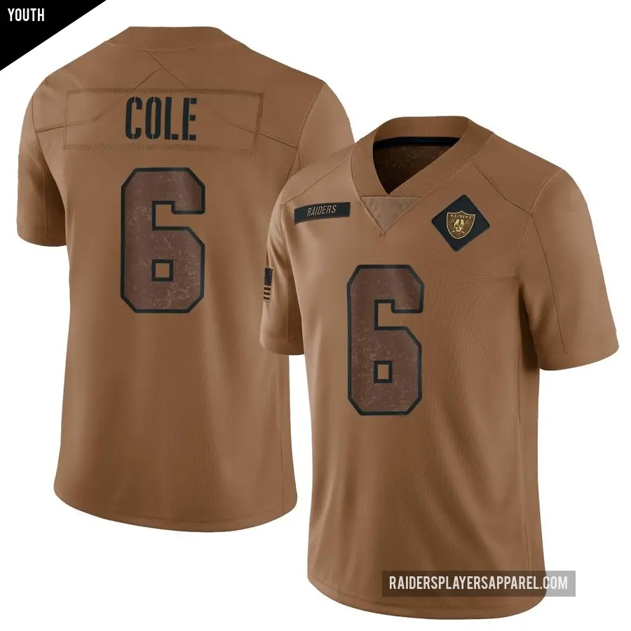 Youth Las Vegas Raiders ＃6 AJ Cole Brown Limited 2023 Salute To Service Jersey