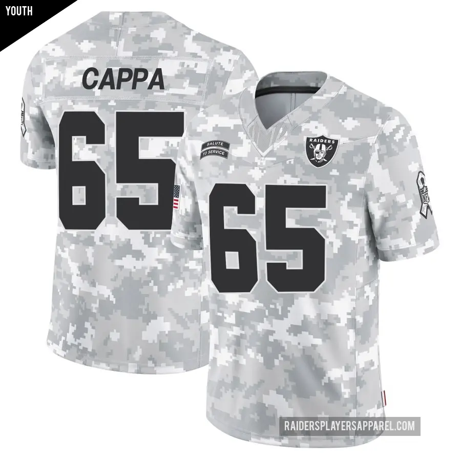 Youth Las Vegas Raiders ＃65 Alex Cappa Arctic Camo Limited 2024 Salute to Service Jersey