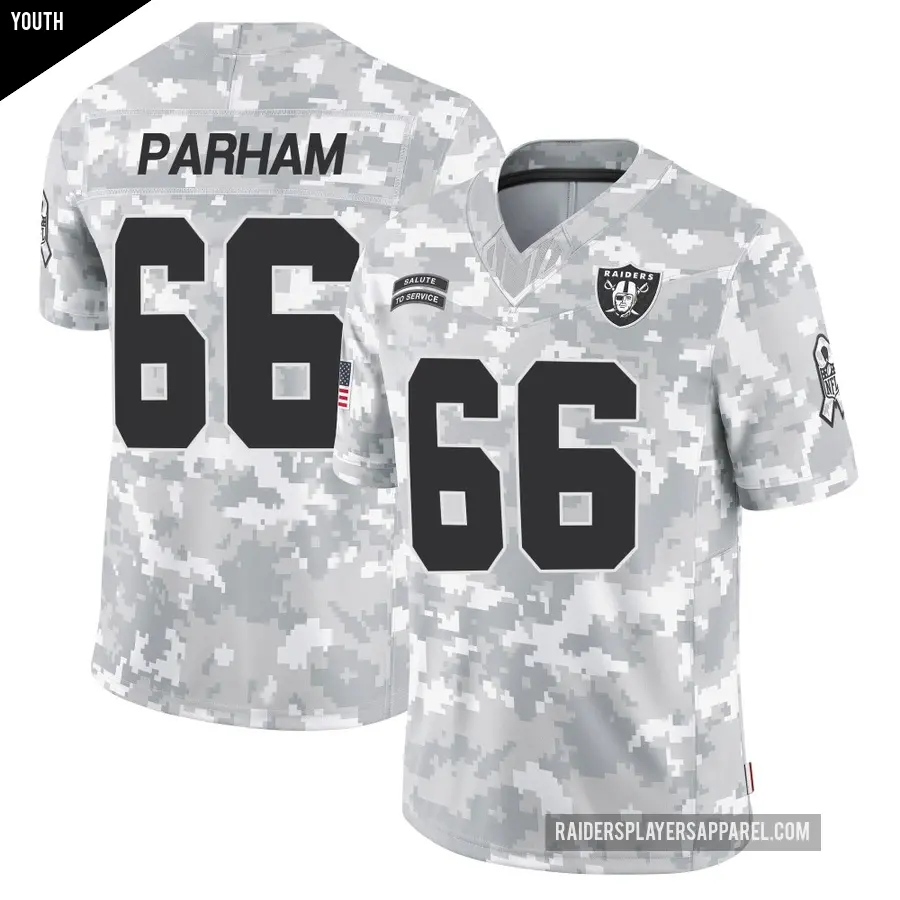 Youth Las Vegas Raiders ＃66 Dylan Parham Arctic Camo Limited 2024 Salute to Service Jersey